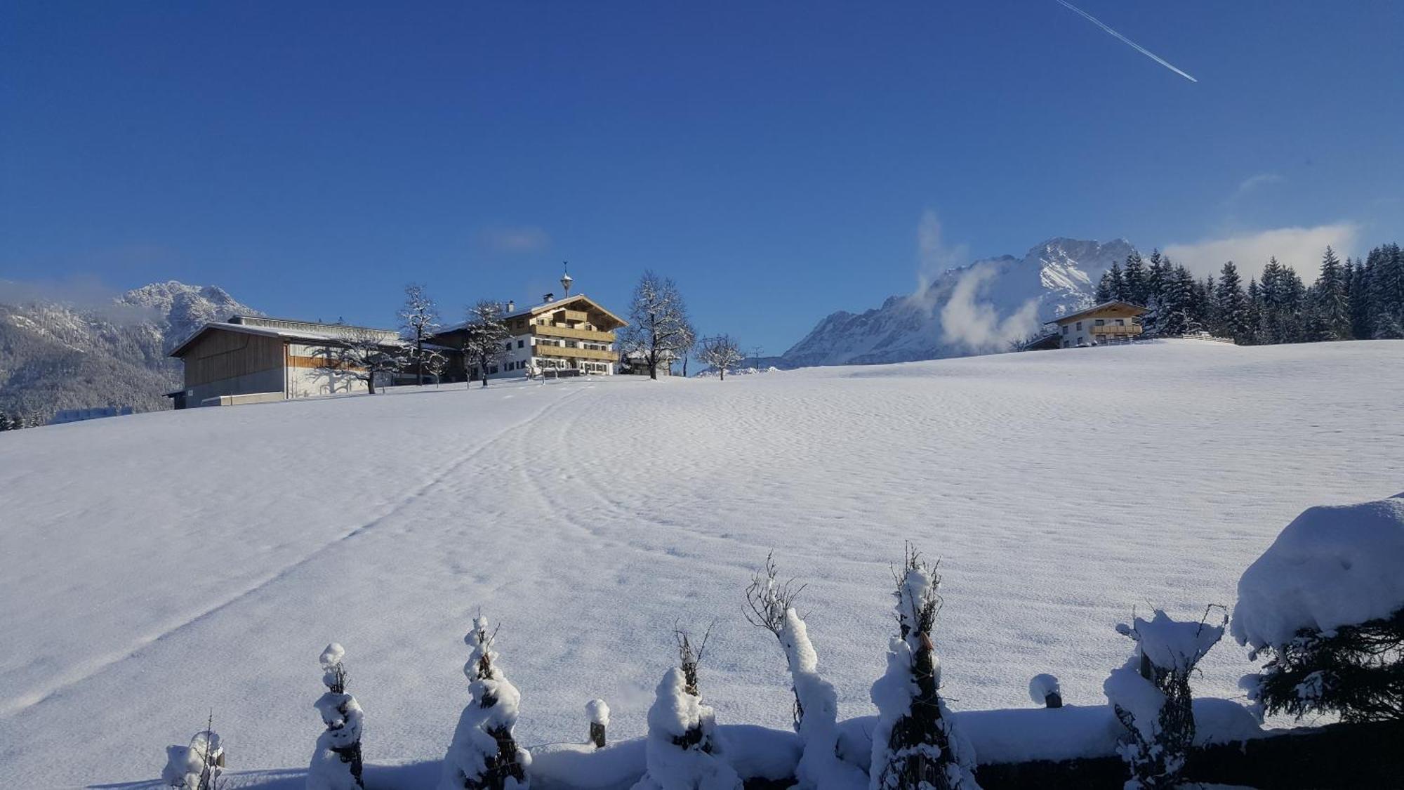 Appartement Seebacher Hochfilzen Dış mekan fotoğraf