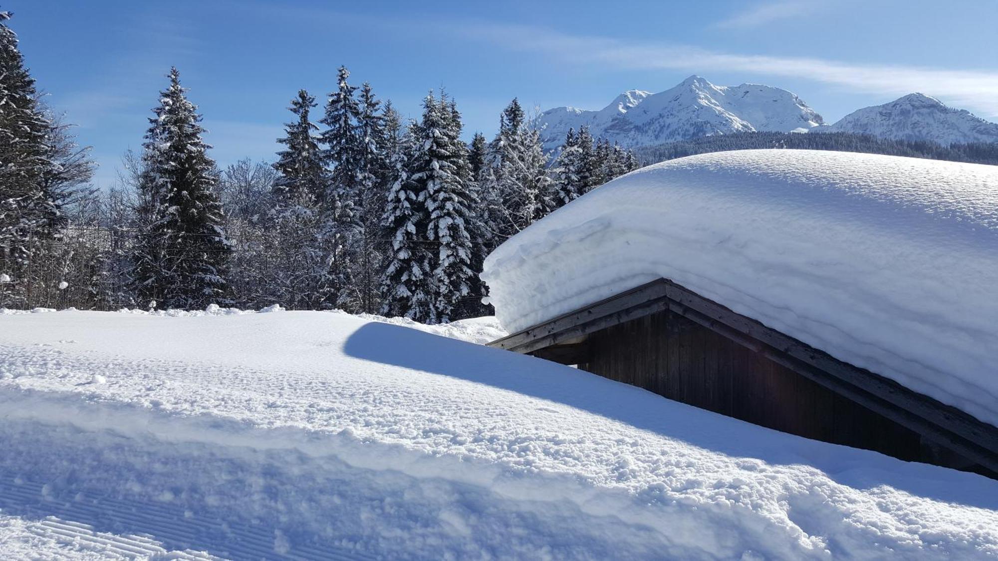 Appartement Seebacher Hochfilzen Dış mekan fotoğraf