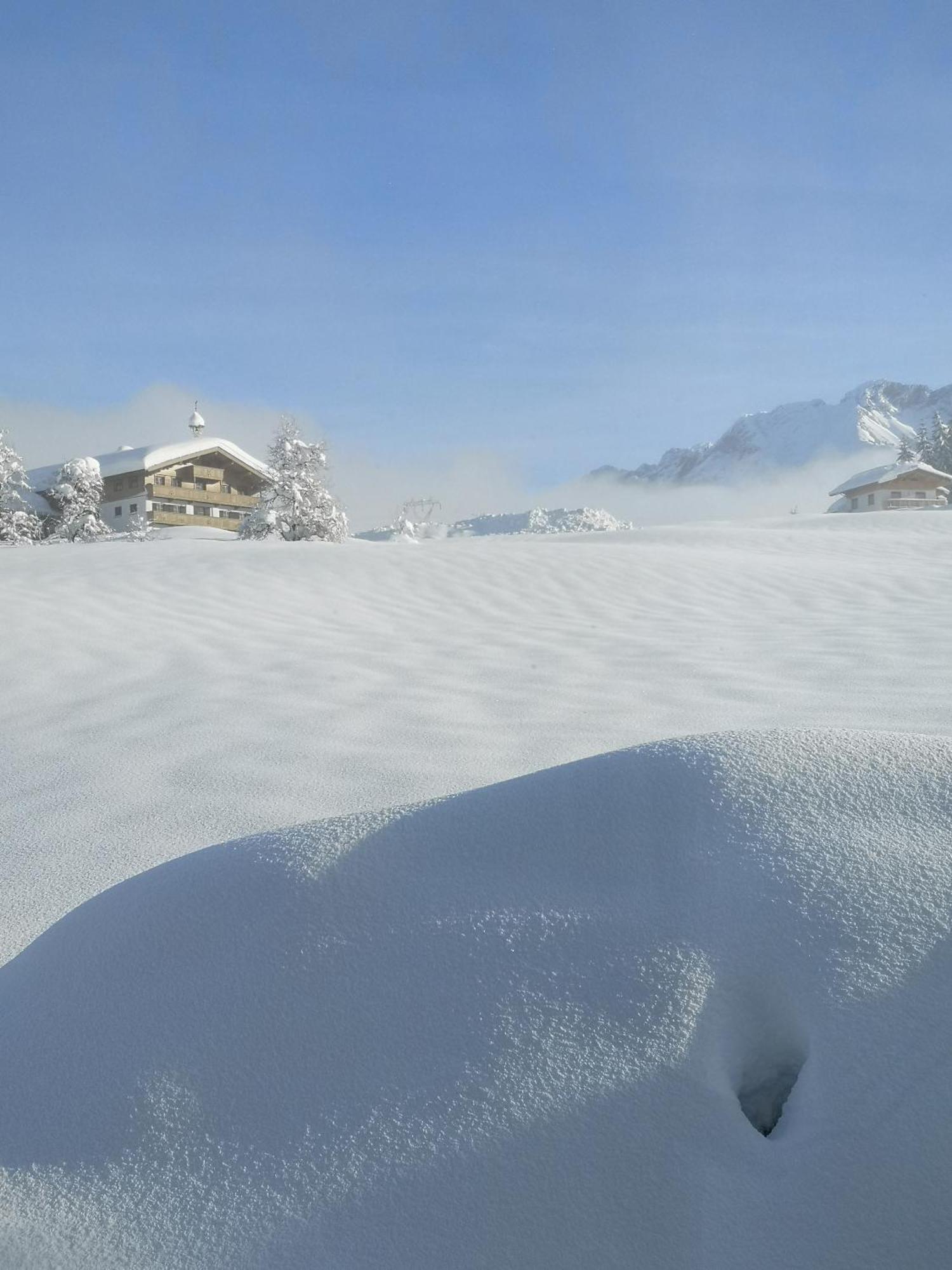 Appartement Seebacher Hochfilzen Dış mekan fotoğraf