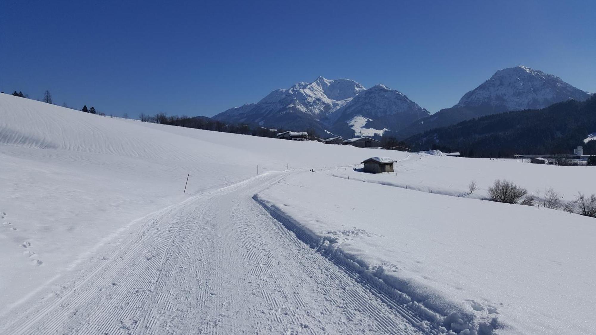 Appartement Seebacher Hochfilzen Dış mekan fotoğraf
