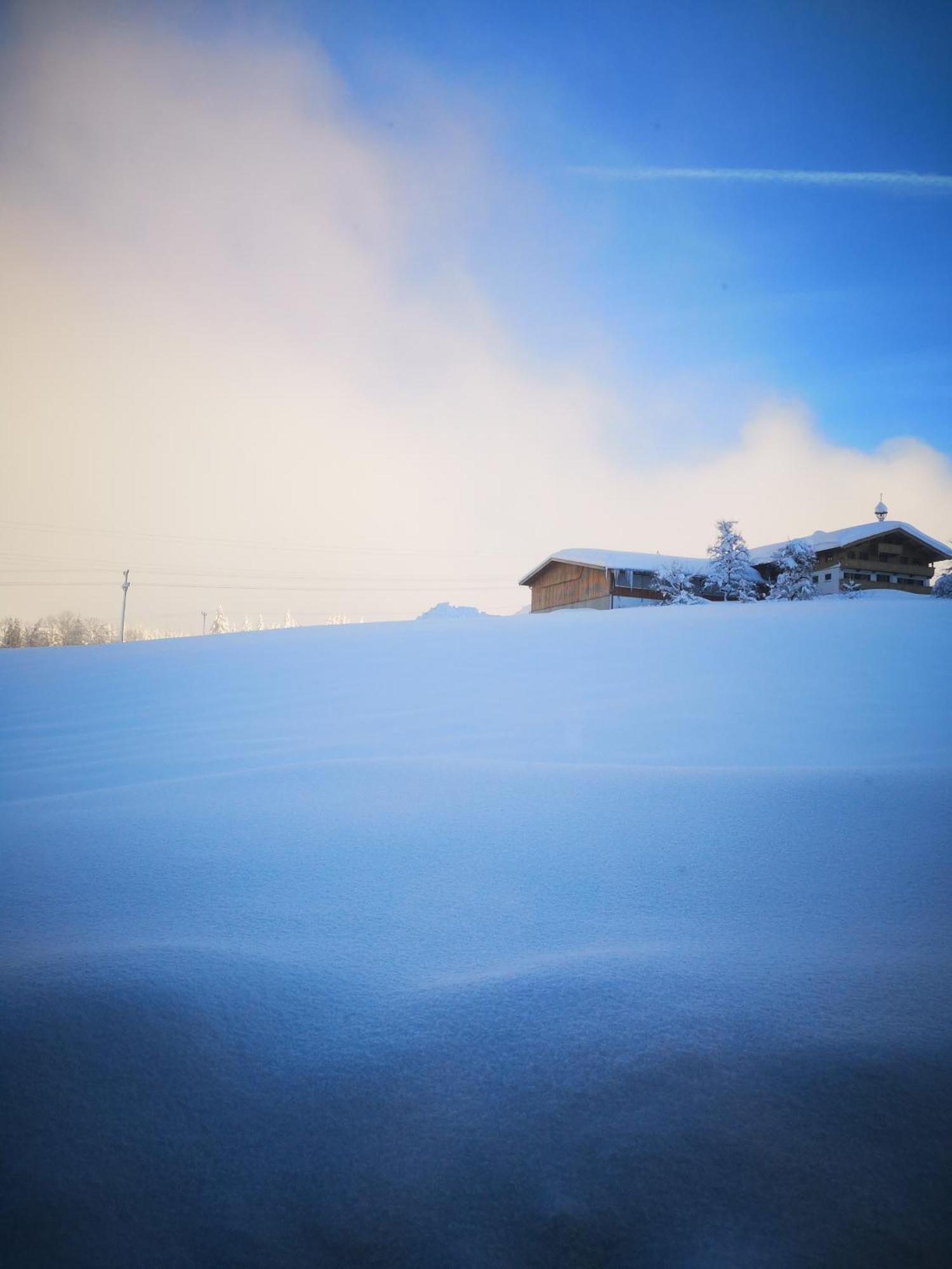 Appartement Seebacher Hochfilzen Dış mekan fotoğraf