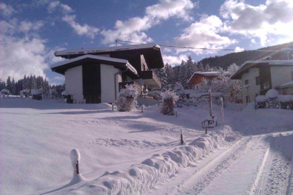 Appartement Seebacher Hochfilzen Dış mekan fotoğraf