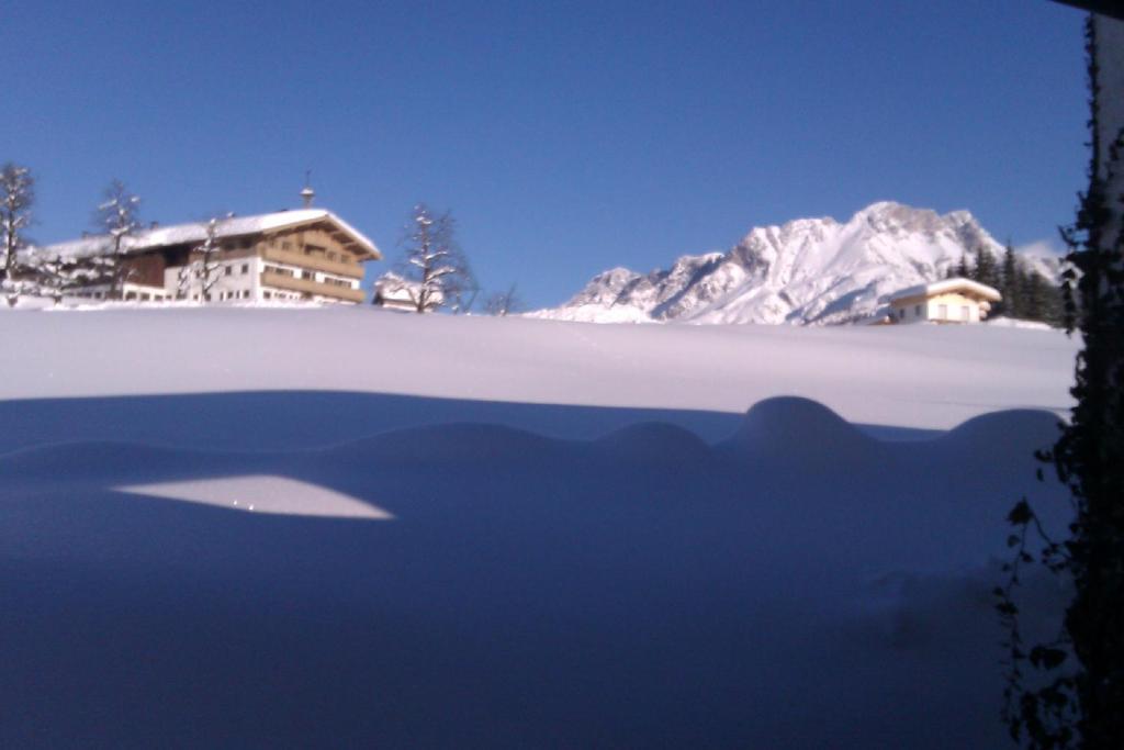 Appartement Seebacher Hochfilzen Dış mekan fotoğraf