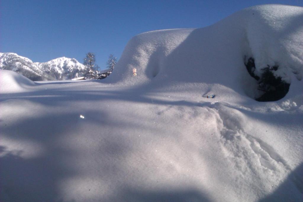 Appartement Seebacher Hochfilzen Dış mekan fotoğraf