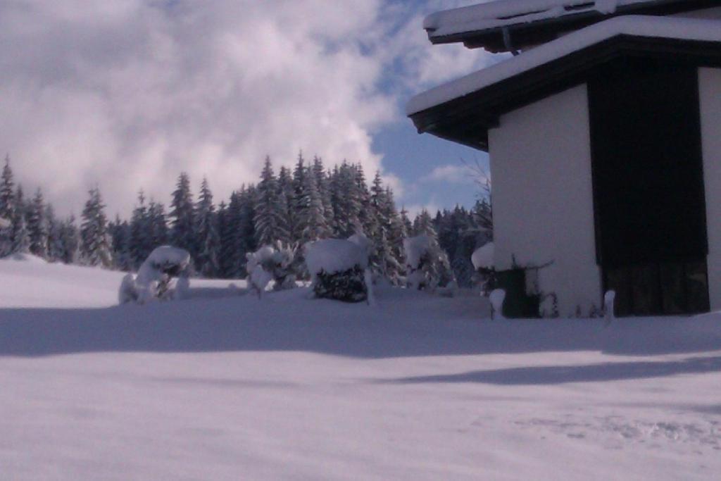 Appartement Seebacher Hochfilzen Dış mekan fotoğraf